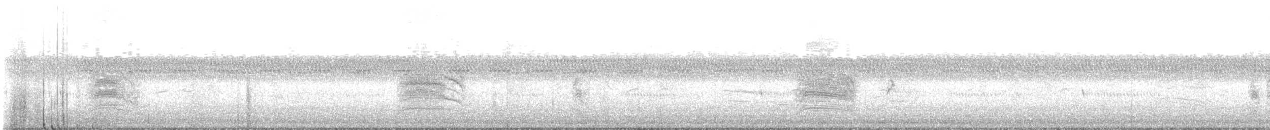 Gray Catbird - ML489012411