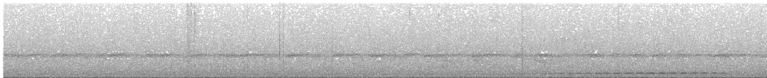 Grauscheitel-Ameisenpitta - ML48910201