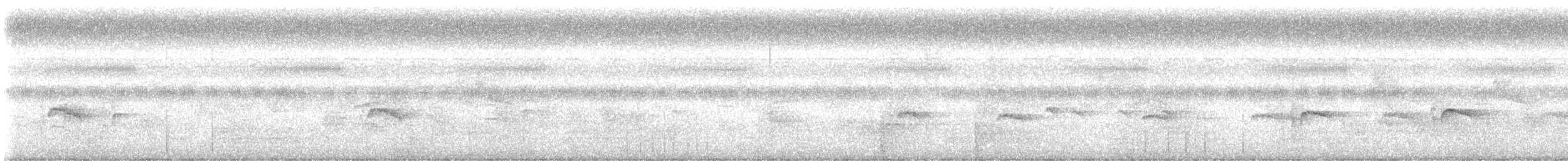 斑文鳥 - ML489128491