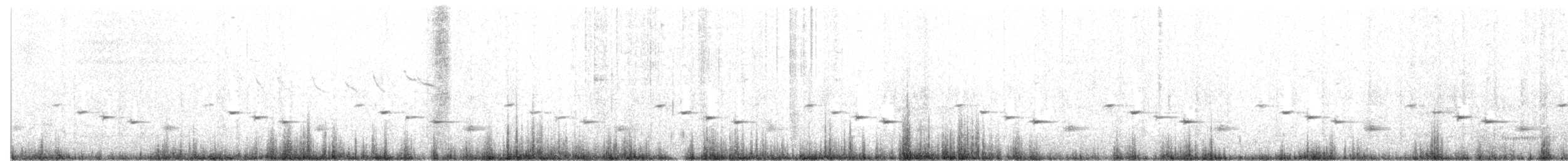 Psophode carillonneur - ML489151601