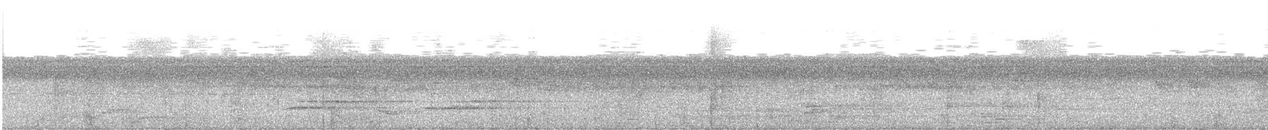 Bänderparadiesvogel - ML489191171