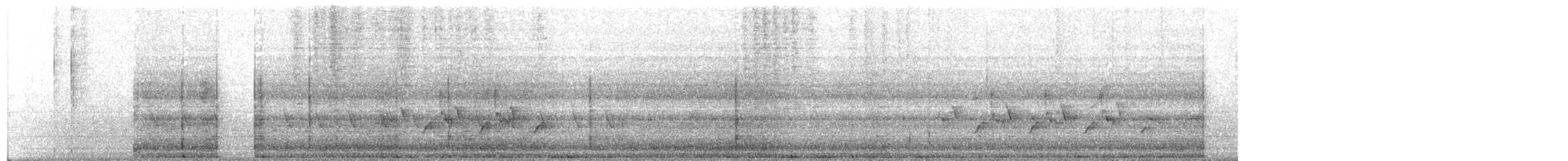 Каролинский крапивник - ML48926121