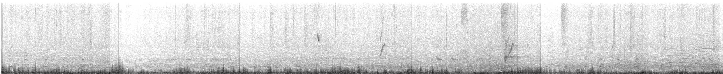 ibis tmavý - ML489290031