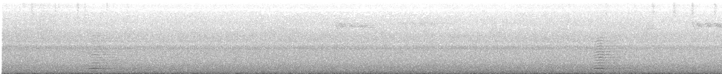 Cisne Trompetero - ML489332931