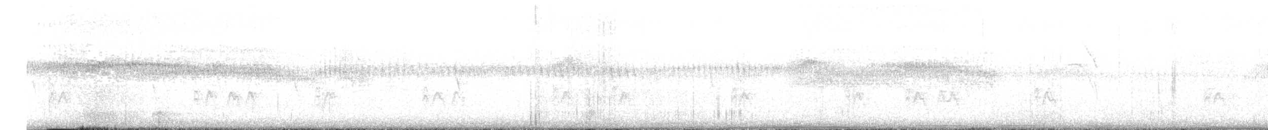 カタジロアマツバメ - ML489417841