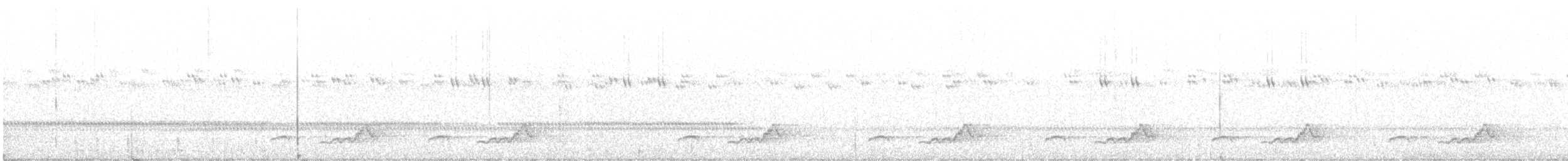Schwarzkehl-Nachtschwalbe - ML489458731