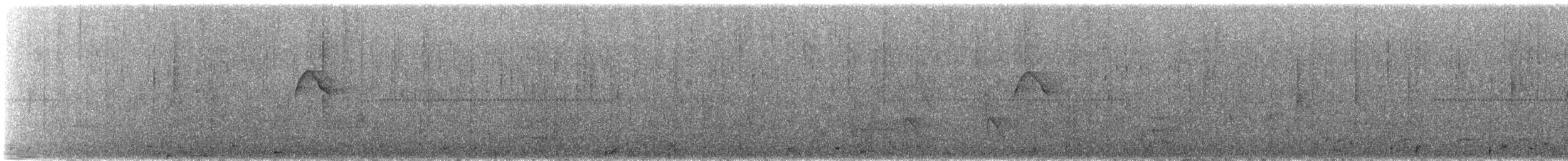 Тиранчик-короткодзьоб південний - ML489471351