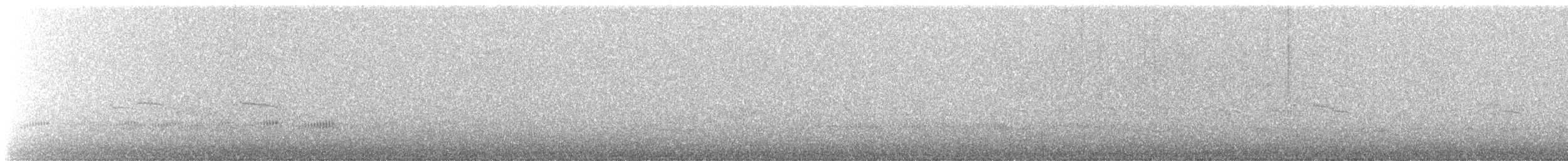 Zostérops à dos gris - ML489528481