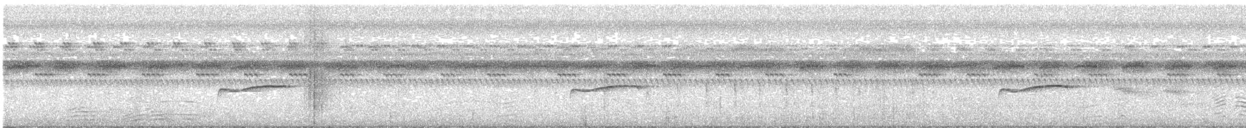 Eastern Wood-Pewee - ML489565271