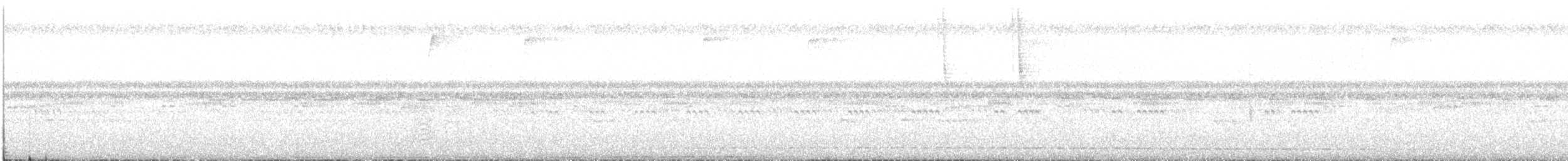 Рораймская совка [группа napensis] - ML48962831