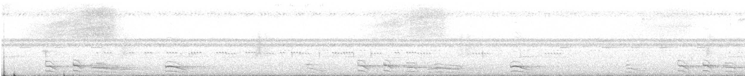 Carnifex à gorge cendrée - ML48963001