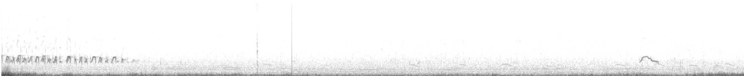 Pluvianelle magellanique - ML489702701