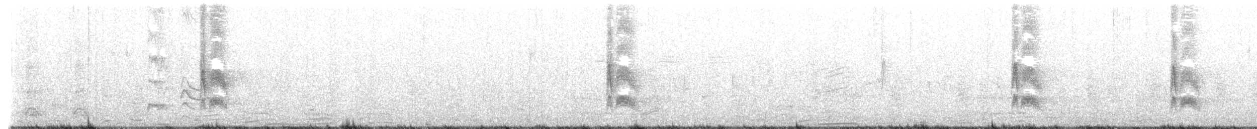 Серогрудый тиранн - ML489711501