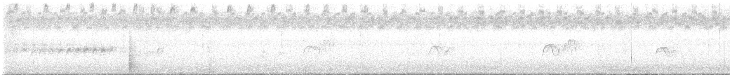 Светлобрюхий фиби - ML489736281