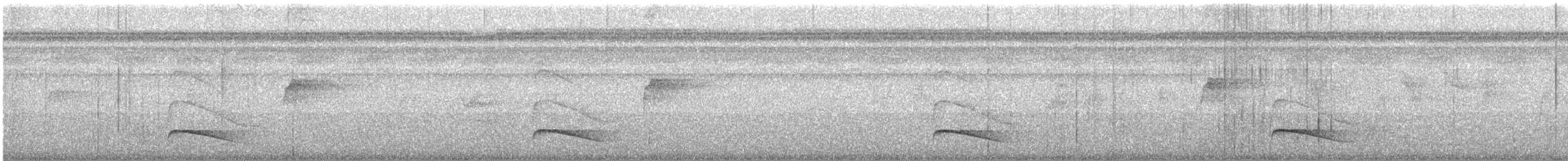 Dusky-tailed Flatbill - ML489759271