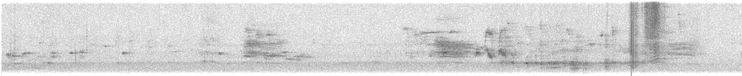 Пересмішник сірий - ML489765131