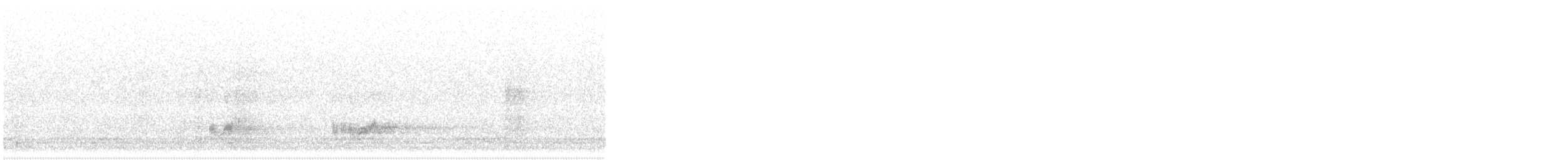 Western Grebe - ML489885471