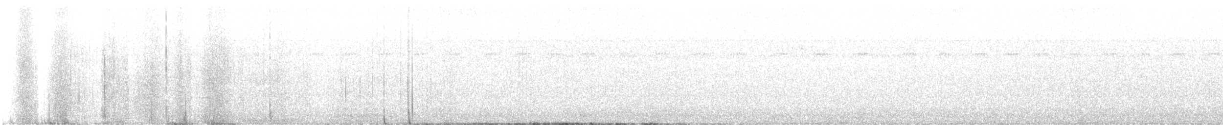hvitbrynsvartspett - ML489940921