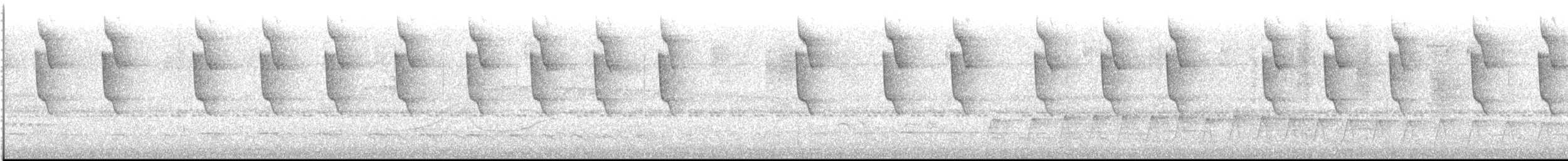Чешуегорлый колибри-отшельник - ML489948461