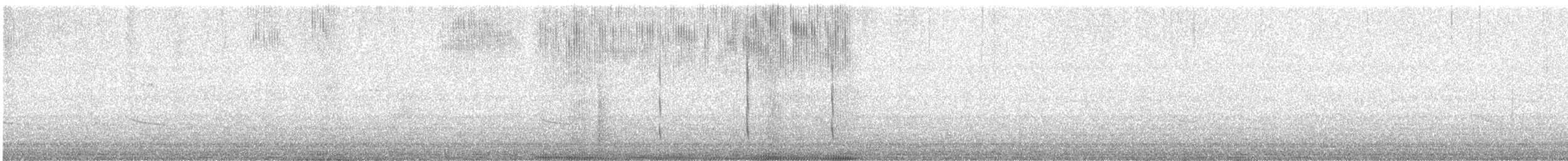 Allen's Hummingbird - ML489951401