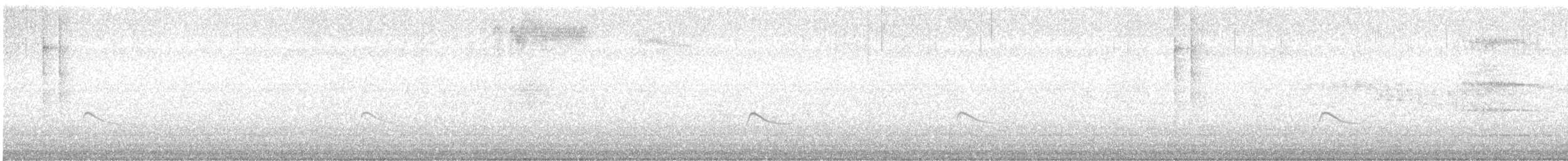 Allen's Hummingbird - ML489959901