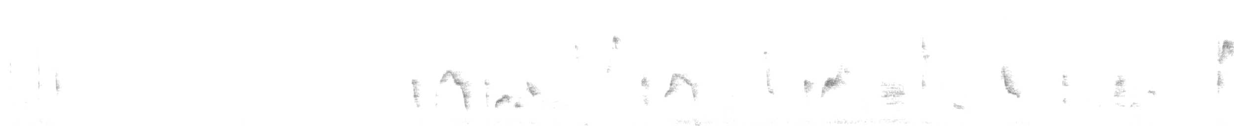 Vireo Ojiblanco - ML489988631