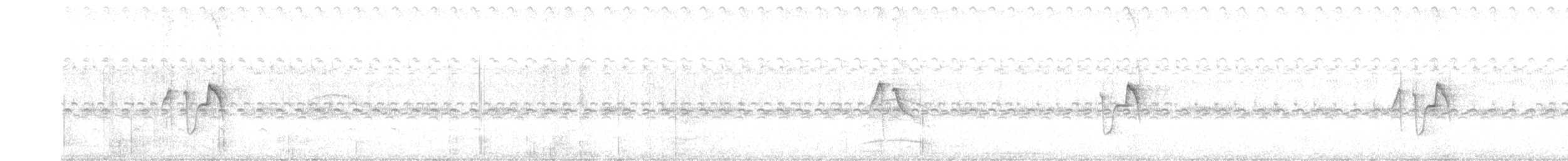 Тиранчик-короткодзьоб південний - ML490109541