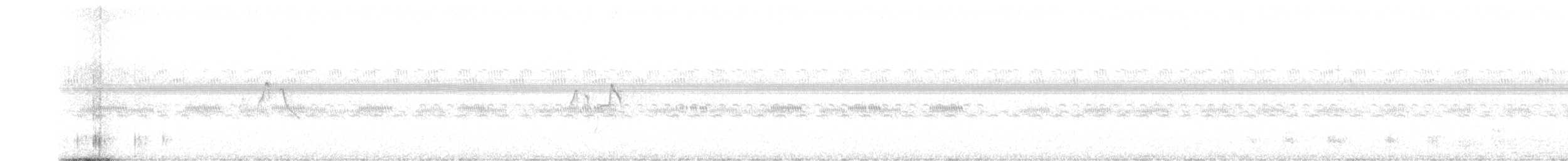 Тиранчик-короткодзьоб південний - ML490109591