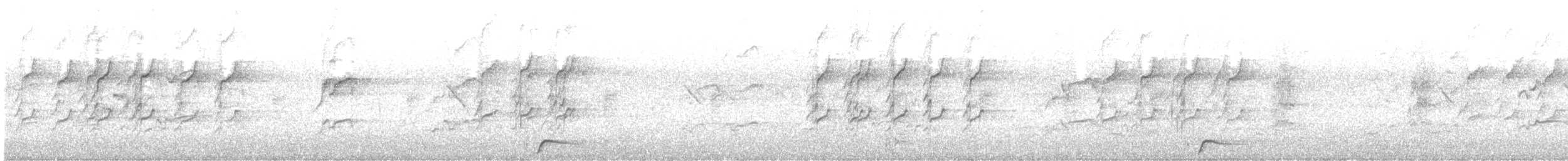 Malvasía Papuda - ML490129521