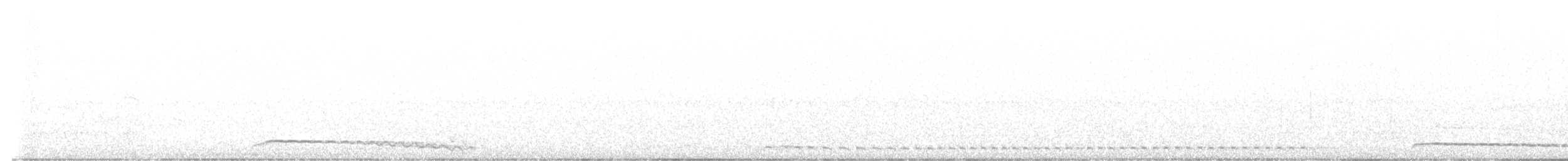 Восточноамериканская совка - ML490145591