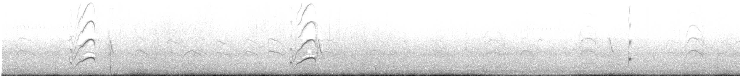 Huîtrier de Finsch - ML490146981