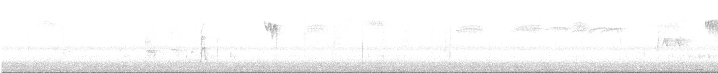 Кедровый свиристель - ML490152531