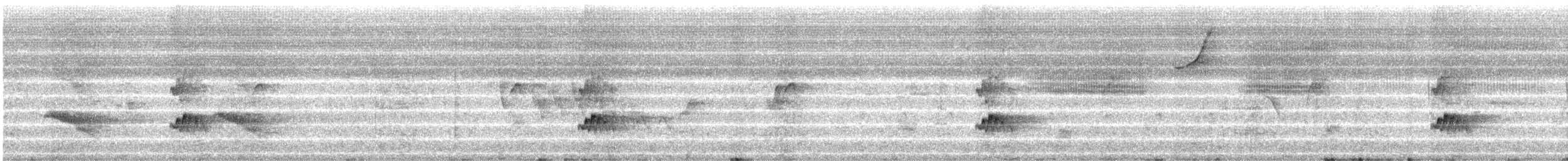 Short-crested Flycatcher - ML490153381
