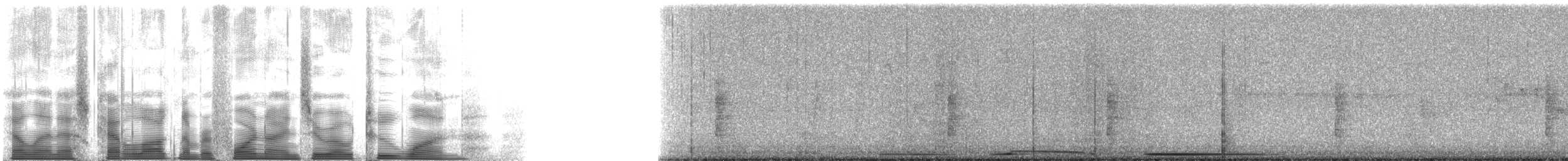 sørgedue - ML49021