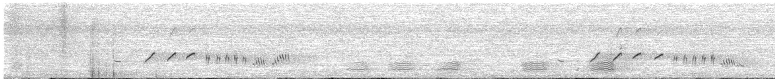Séricorne roussâtre - ML490231261