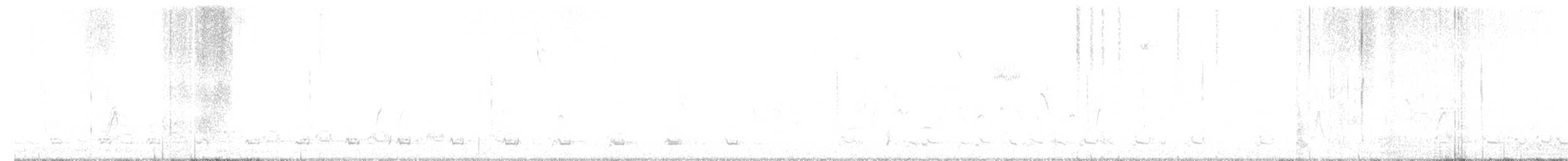 krocan divoký - ML490276571