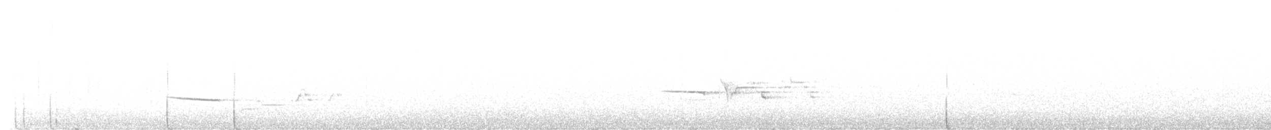 Дрізд-короткодзьоб плямистоволий - ML490387731