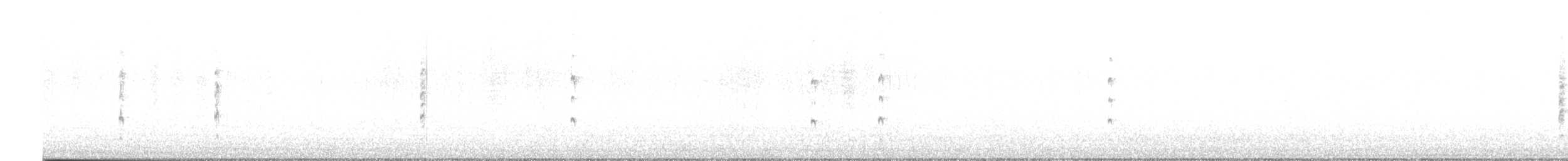 西方秧雞 - ML490402371