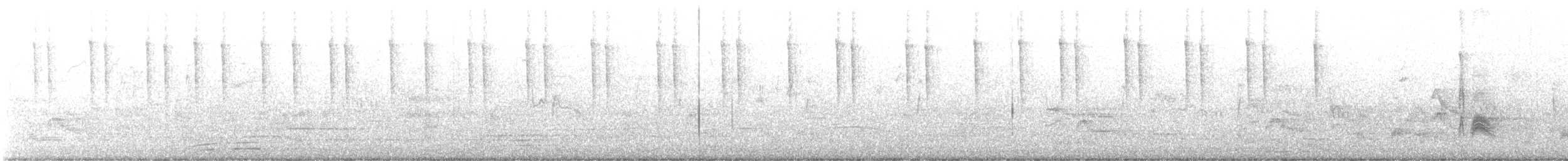 Cassin's Kingbird - ML490407441