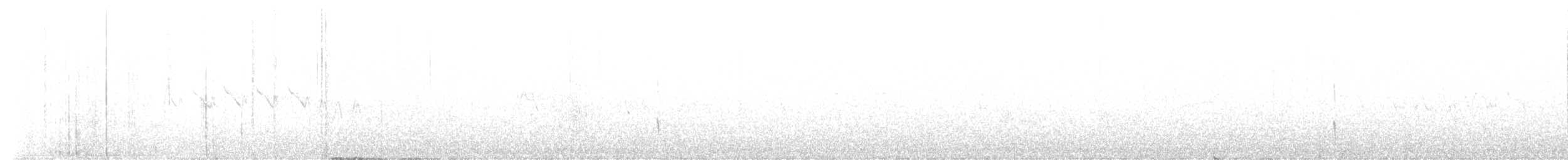 Черноспинный трёхпалый дятел - ML490452031