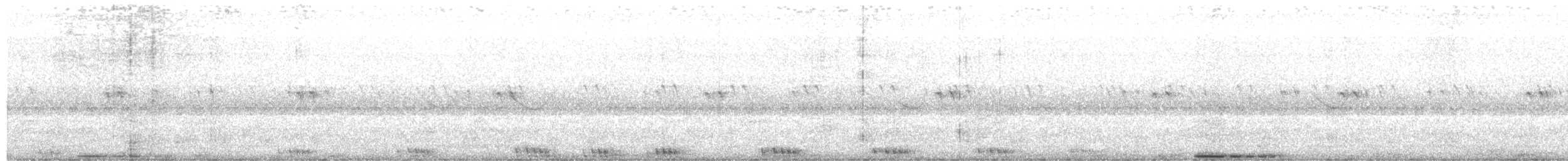 Weißbauch-Nachtschwalbe - ML490484931