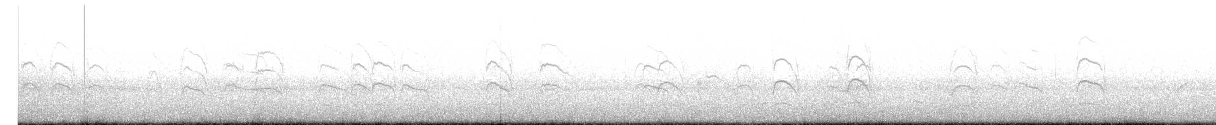 Black-fronted Tern - ML490491211