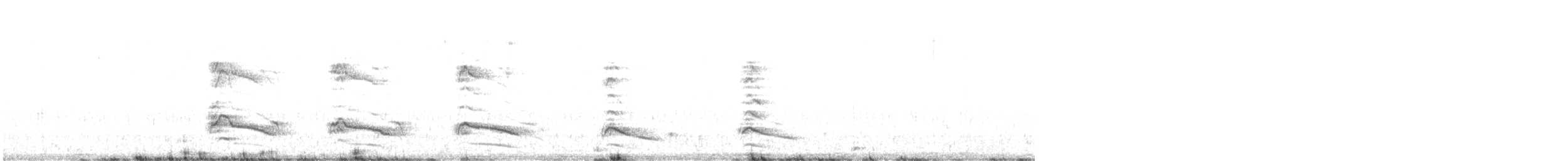 Chara de Steller - ML490510271