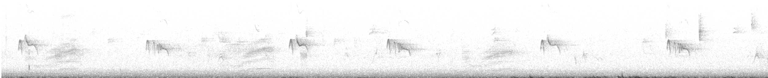 クロツキヒメハエトリ - ML490514321