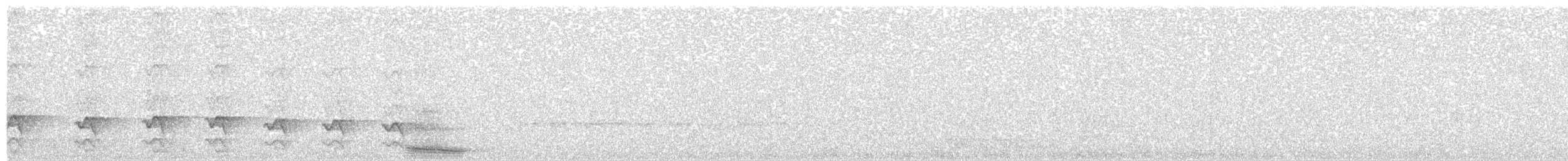 Trompeterparadieskrähe - ML490540301