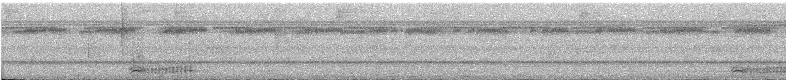 Kara Tepeli Gri Karıncaavcısı - ML490606391