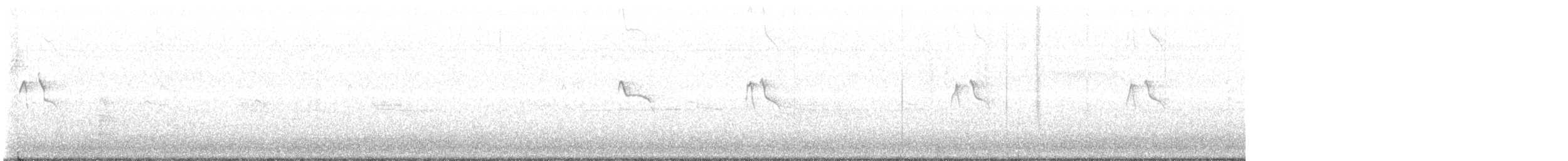 Black Phoebe - ML490617501