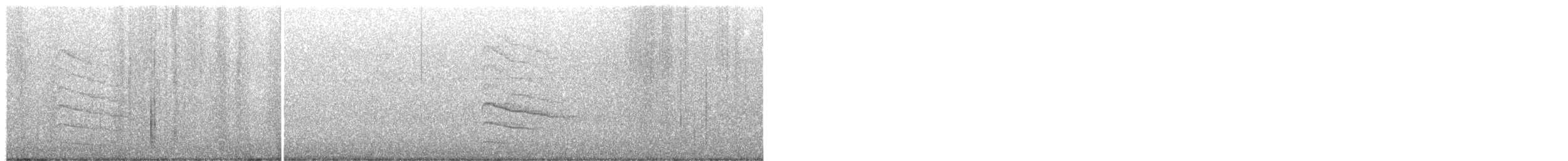 Pic maculé - ML490623601