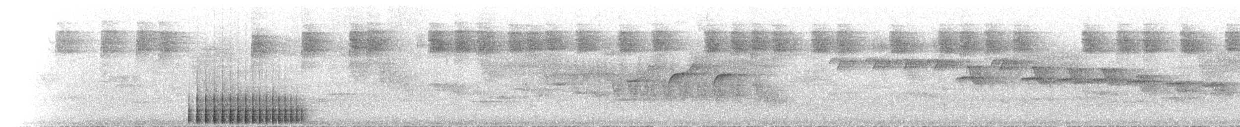strakapoud velký (ssp. poelzami) - ML490675751