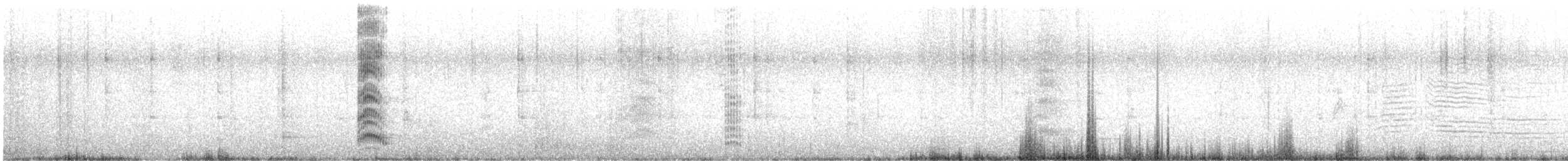 Mouette argentée (scopulinus) - ML490776851